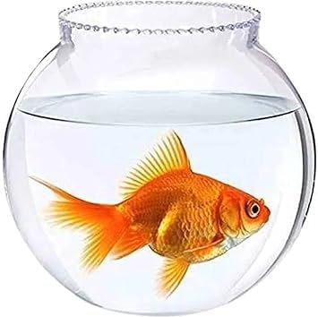 Aquarium glass bowl 8"inch
