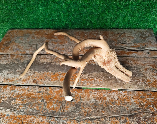 Driftwood ( 12*7" inches )