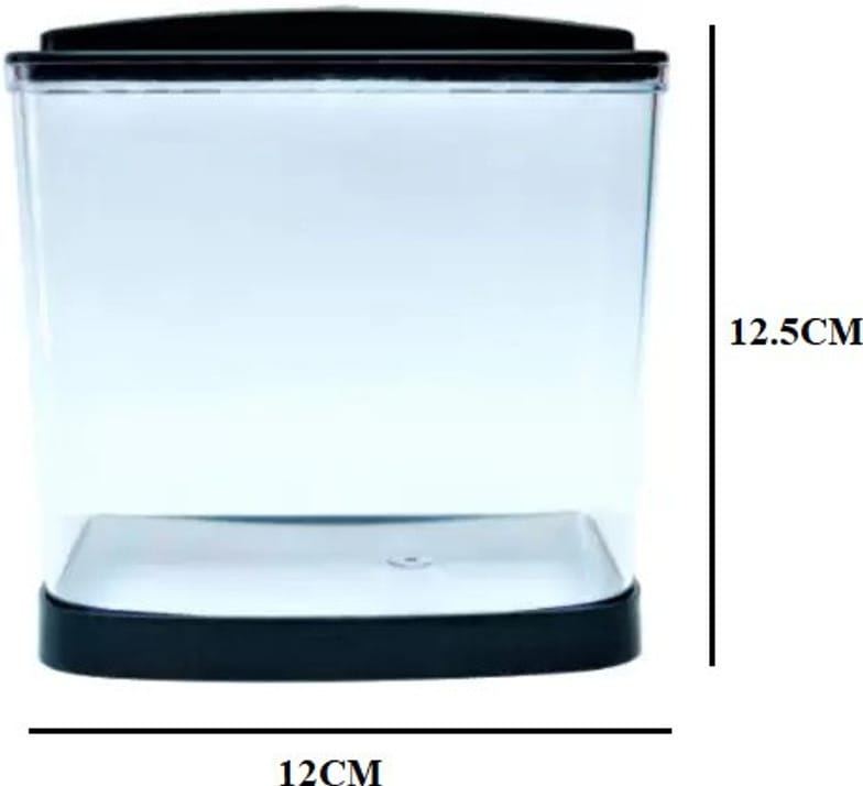 single betta fish home