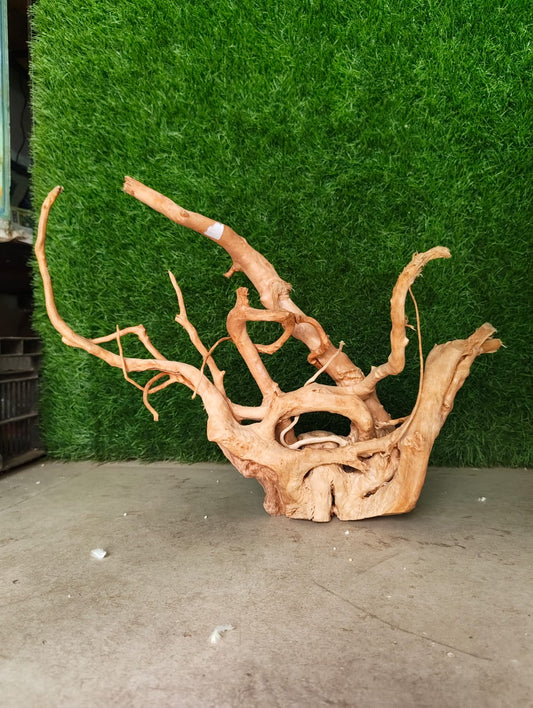 Drift wood 16*13" inch