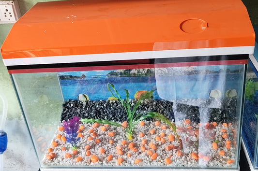 Aquarium 24*12*20" inches