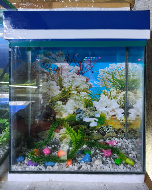 Aquarium 12*8*16" inches