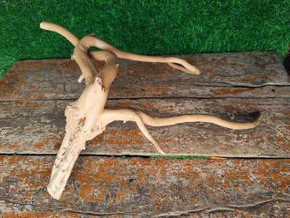 Driftwood  ( 12*7" inches )