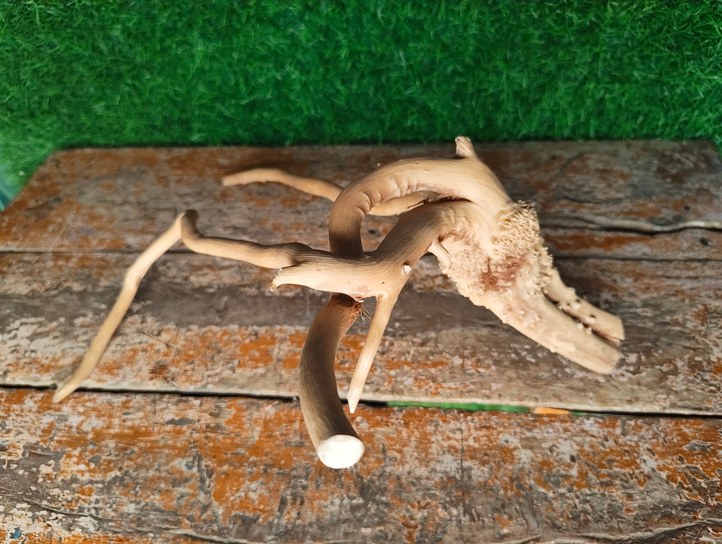 Driftwood  ( 12*7" inches )