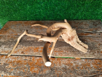 Driftwood  ( 12*7" inches )