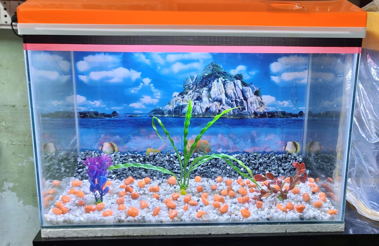 Aquarium 24*12*20" inches