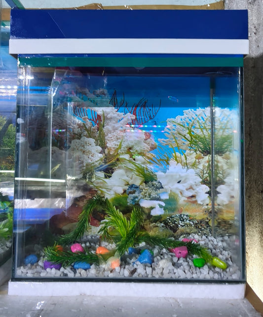 Aquarium 12*8*16" inches