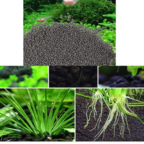 amazon black aqua soil