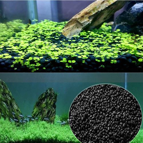 amazon black aqua soil