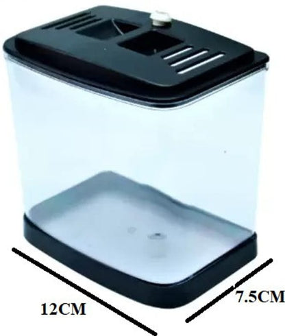 single betta fish home