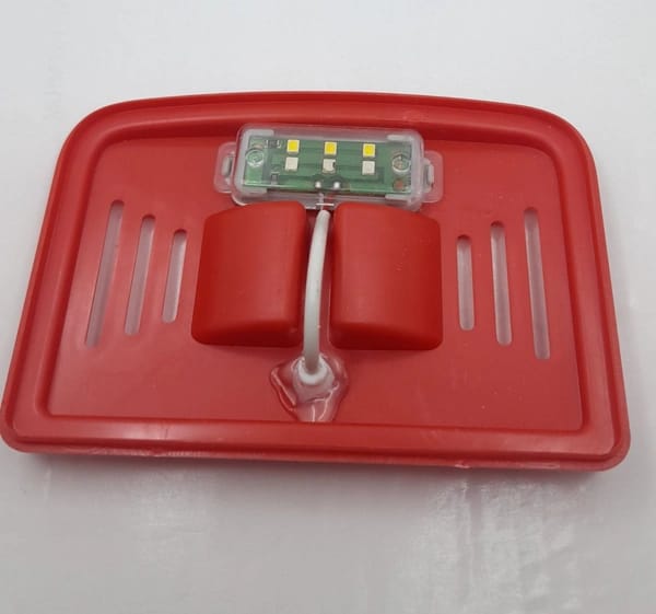 single betta fish home