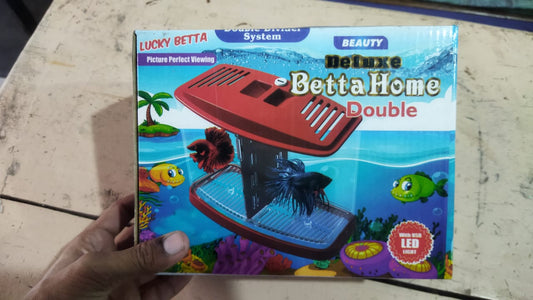 double betta fish home