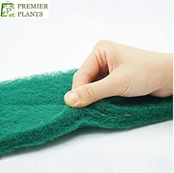 top filter sponge pad
