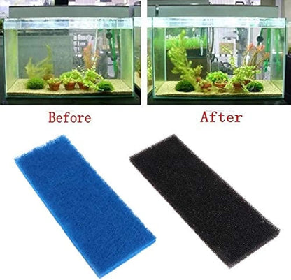 top filter sponge pad