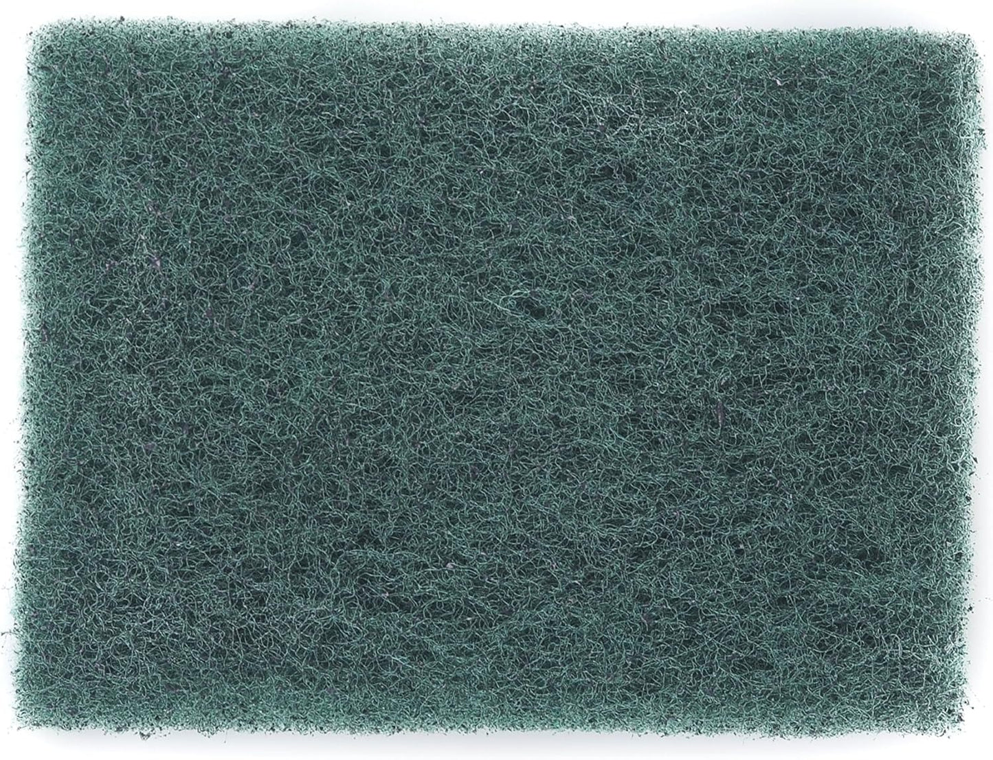 Glass scrubber for tank cleaning