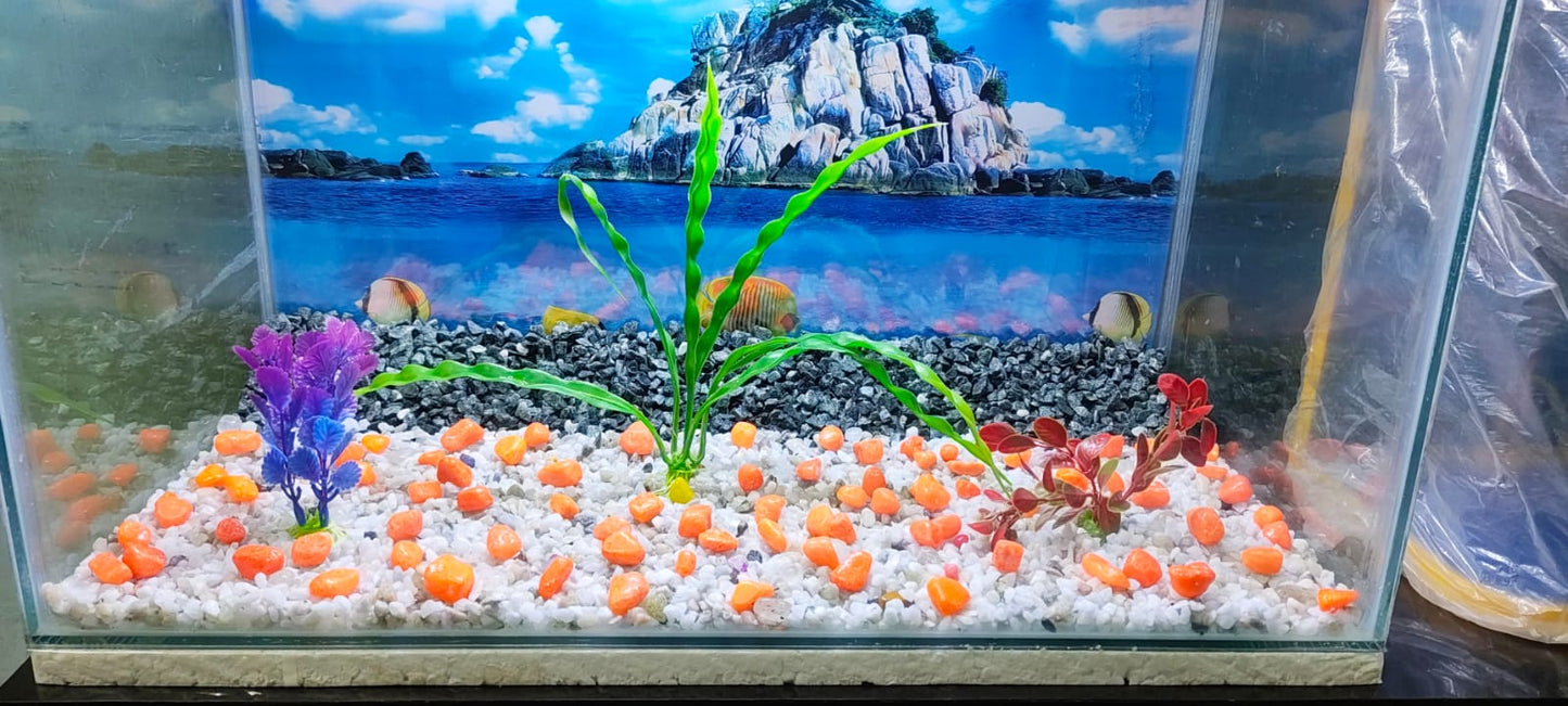 Aquarium 24*12*20" inches