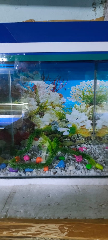Aquarium 12*8*16" inches