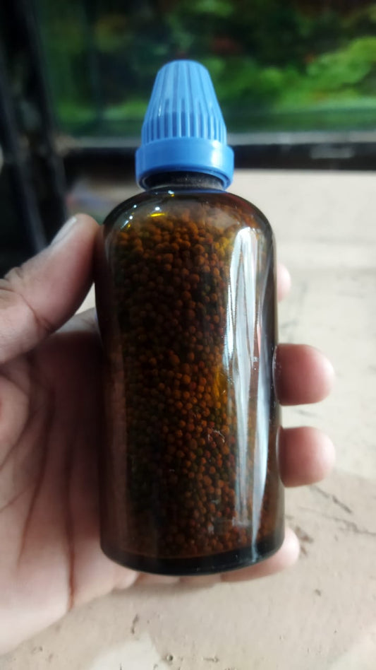 fish food  ( repacked )