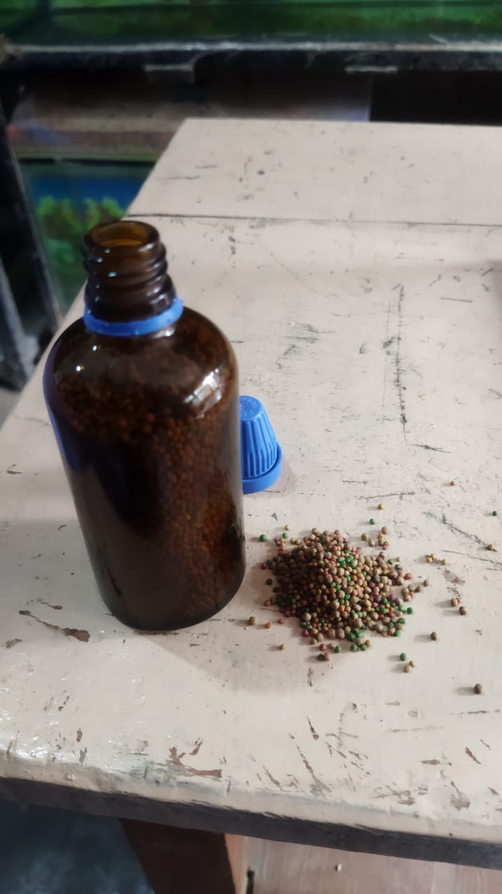 fish food  ( repacked )